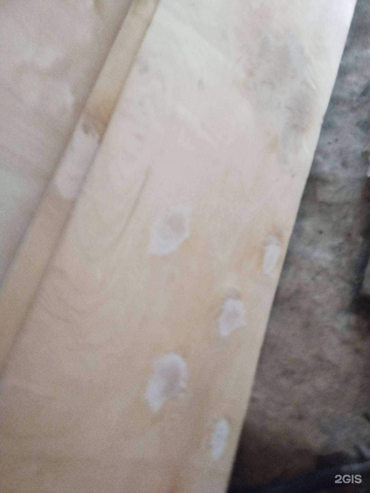 Отзывы на компанию Стрэл в Копейске c фото