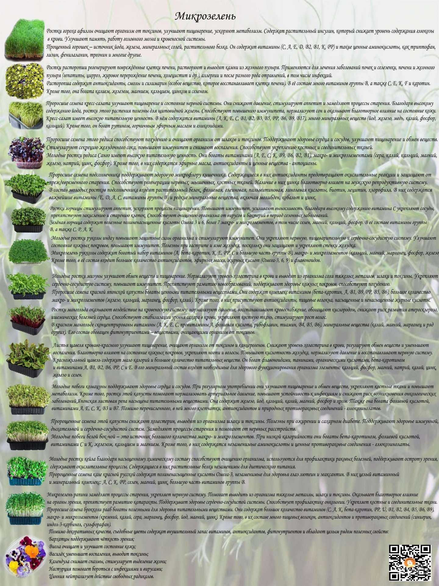 Отзывы на компанию Флора и Фауна в Новороссийске c фото