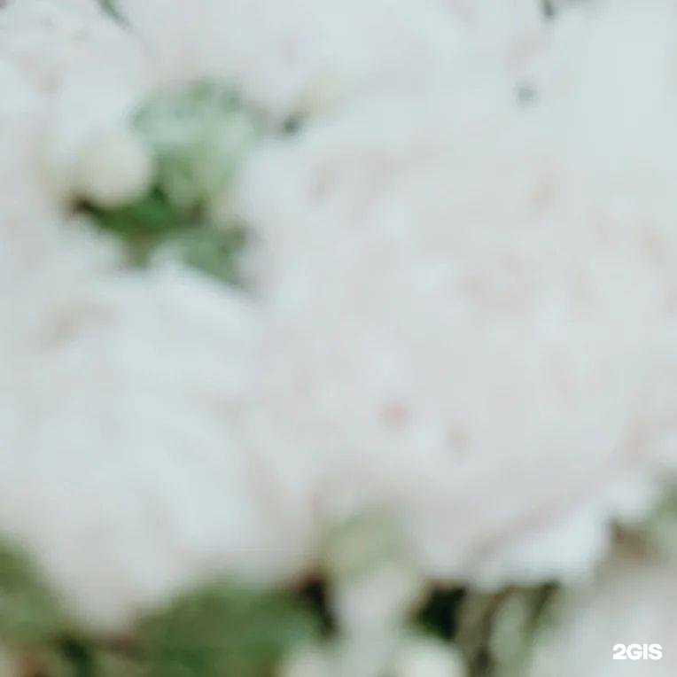 Отзывы на компанию Studio love story в г. Старый Оскол c фото