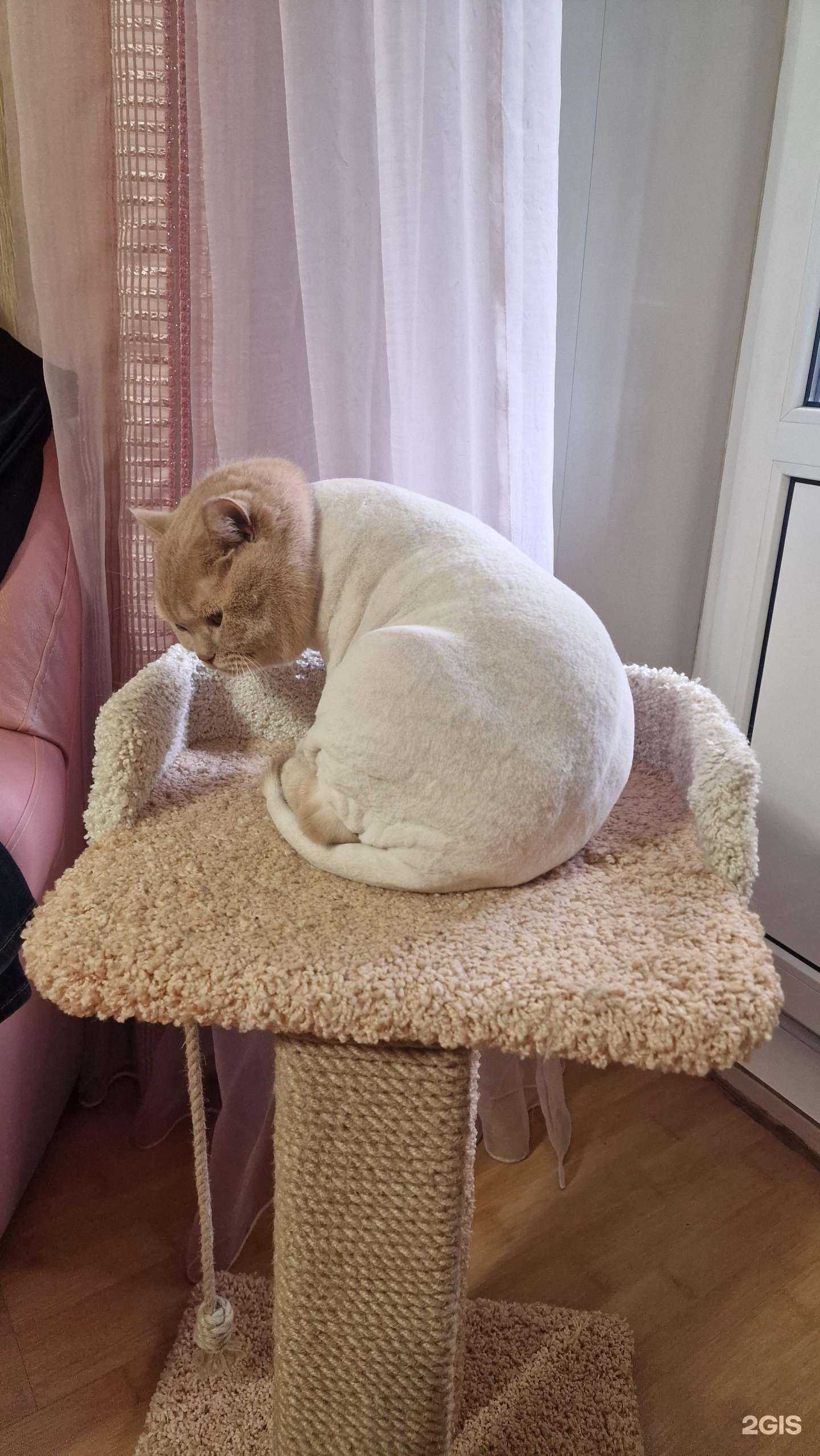 Отзывы на компанию Ветленд в г. Уфа c фото