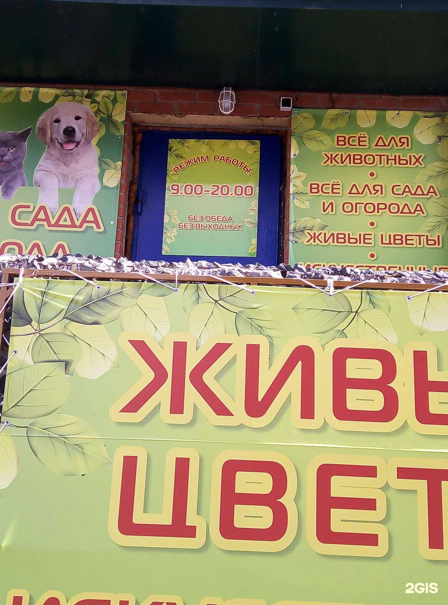 Отзывы на компанию Магазин цветов и семян в г. Омск c фото