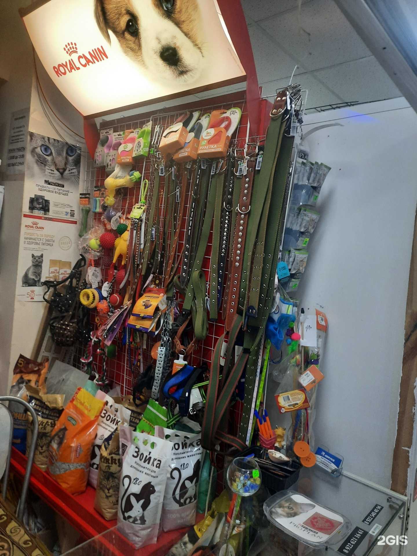 Отзывы на компанию Магазин зоотоваров в г. Оренбург c фото