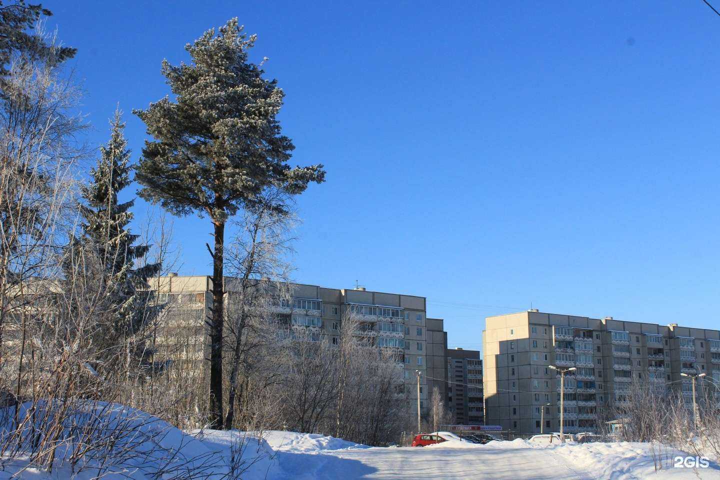 Отзывы на компанию Losk в Петрозаводске c фото - фотография 2 из 2