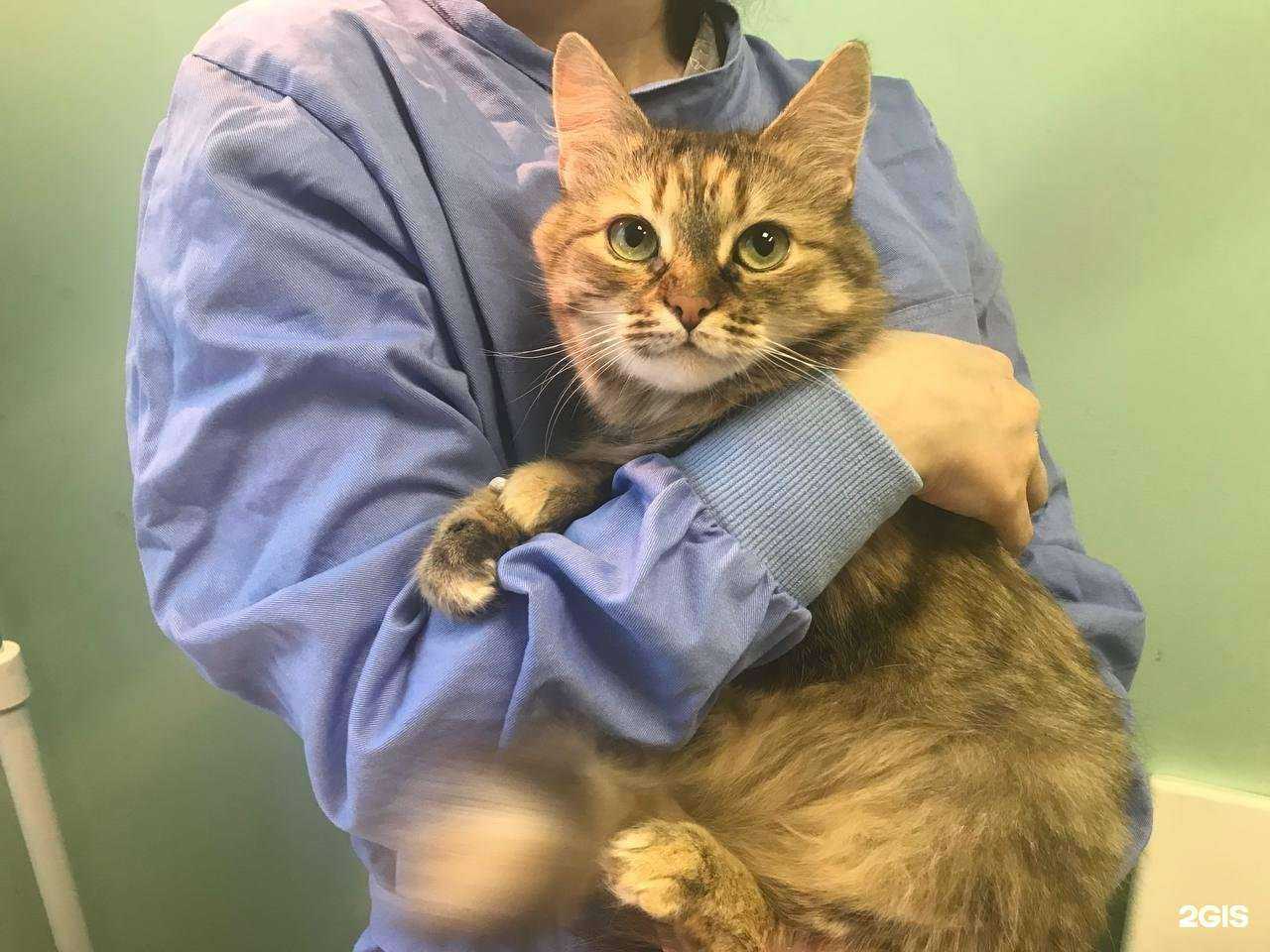 Отзывы на компанию AVA-BET в Курске c фото