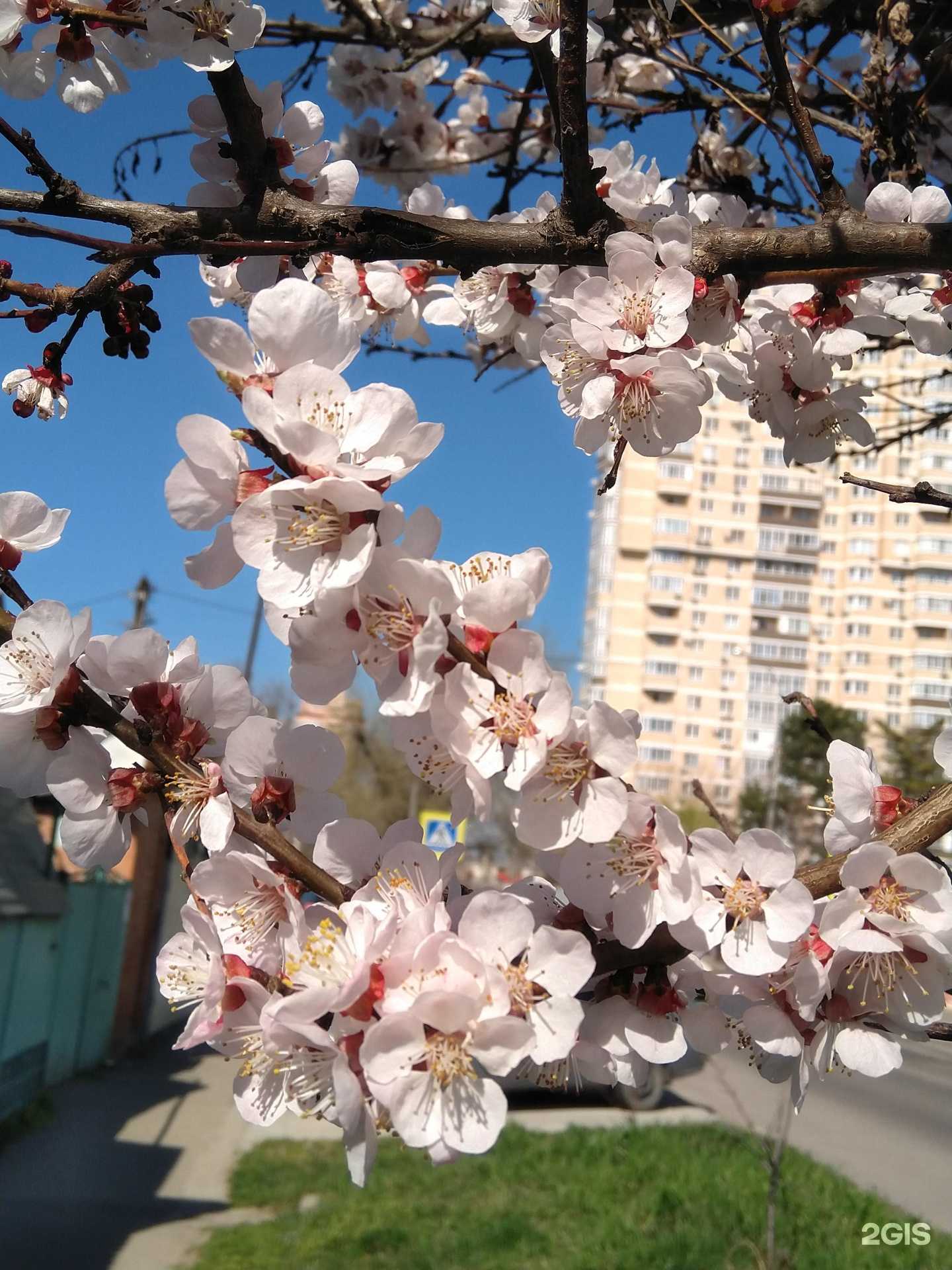 Отзывы на компанию Barxat в Краснодаре c фото - фотография 2 из 2