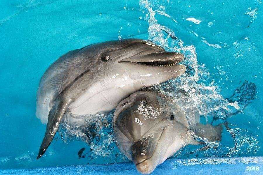 Отзывы на компанию Мост в Владимире c фото