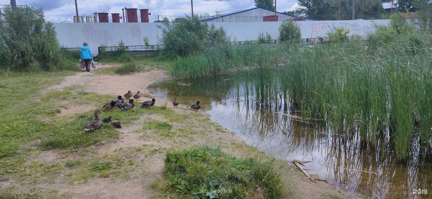 Отзывы на компанию Горьковский учебный центр профессиональных квалификаций в Нижнем Новгороде c фото - фотография 2 из 2