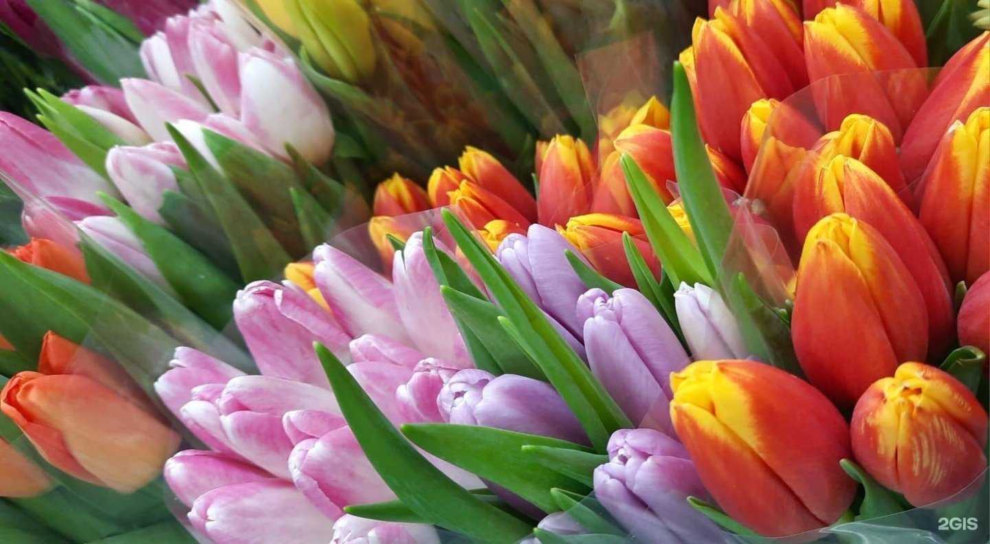 Отзывы на компанию Букетoff в Челябинске c фото