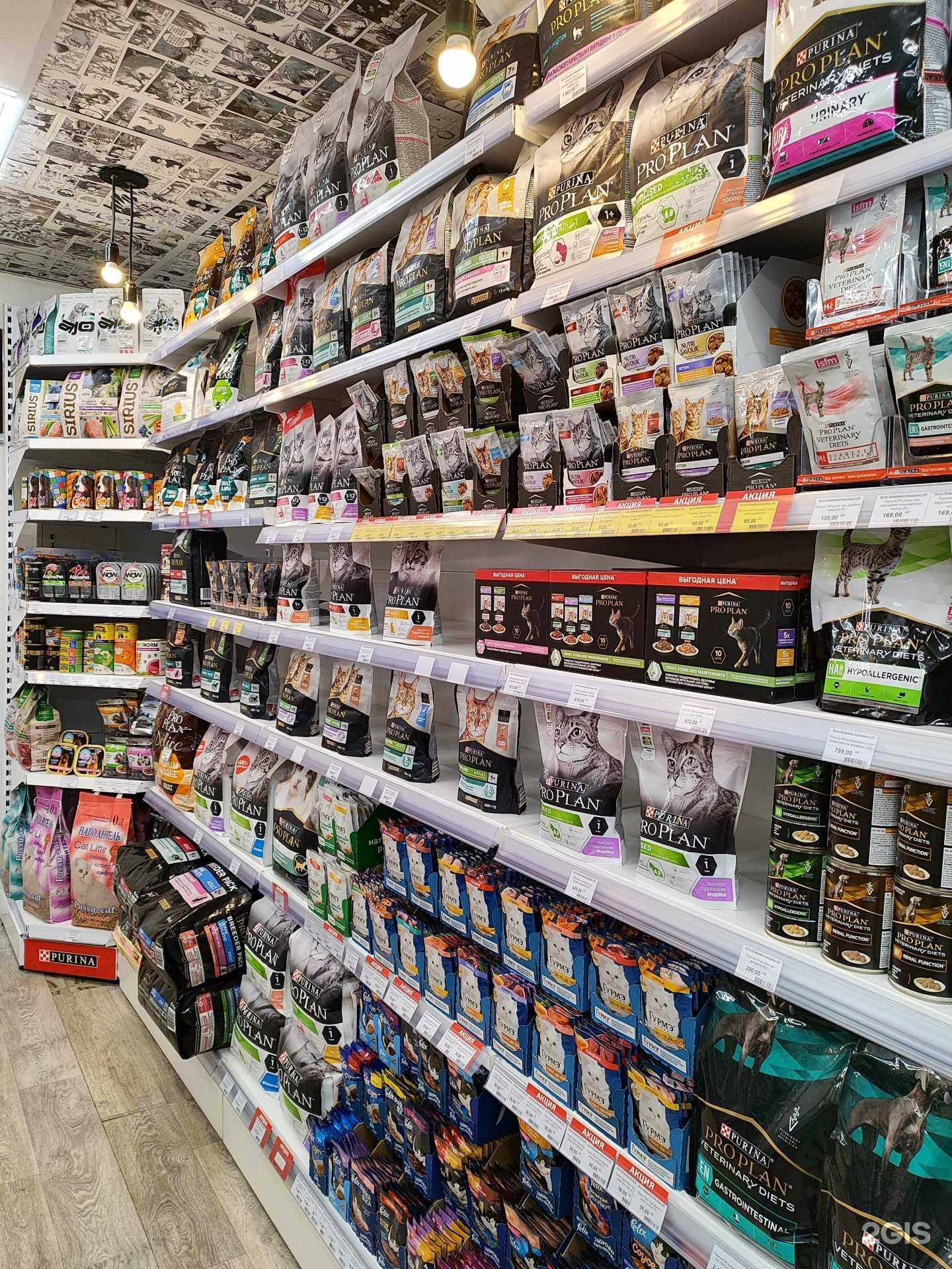 Отзывы на компанию ЗооРай-37 в г. Иваново c фото