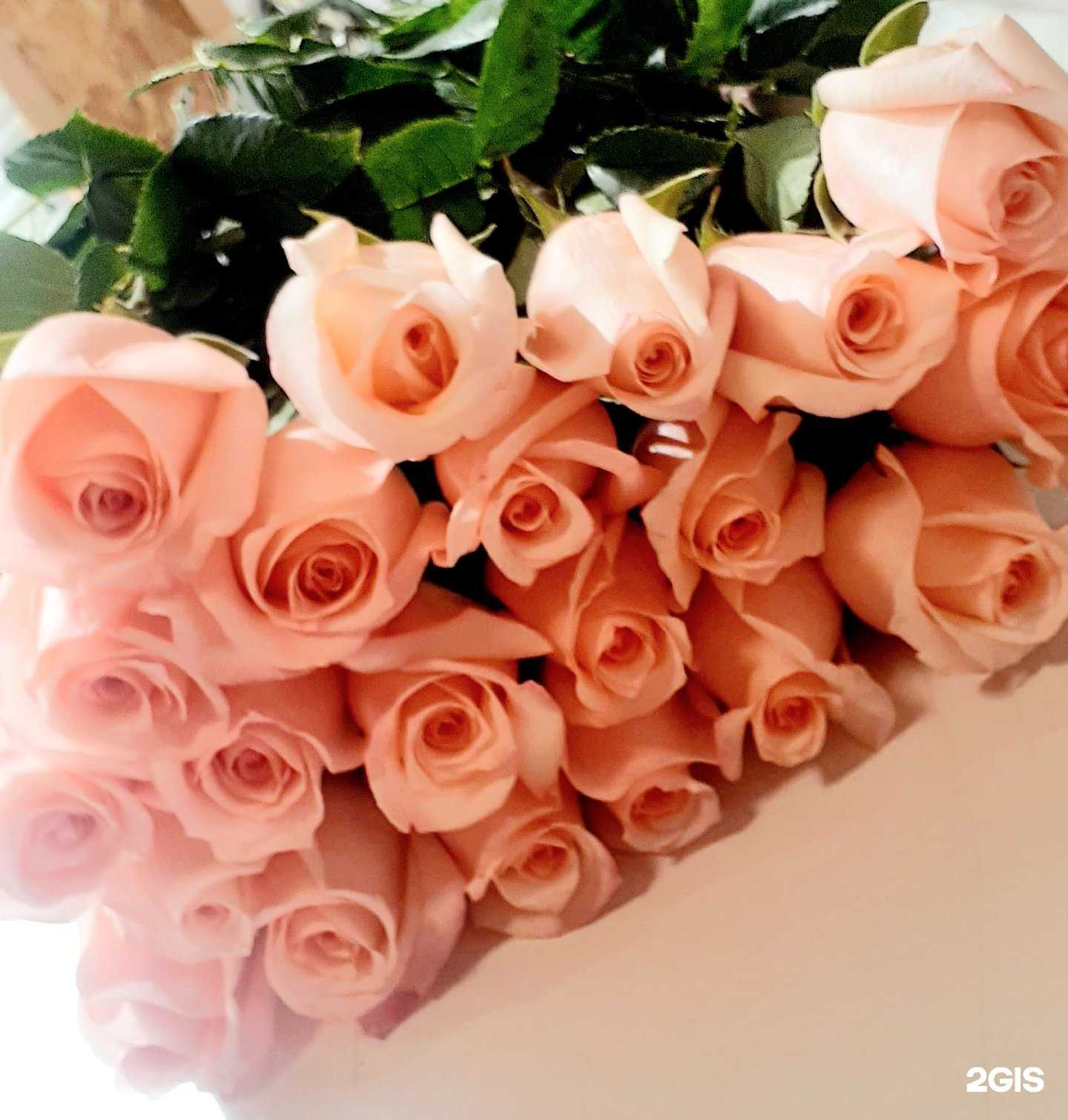 Отзывы на компанию Цветочный салон в г. Тюмень c фото