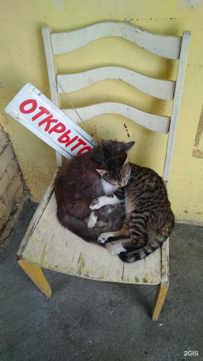 Отзывы на компанию Ключник в Ростове в Ростове-на-Дону c фото