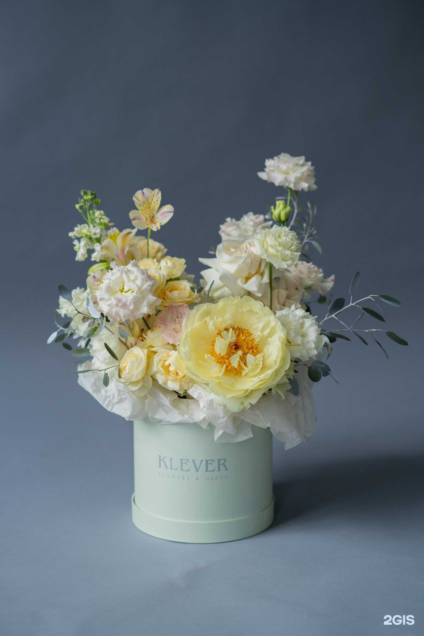 Отзывы на компанию Клевер в Сочи c фото