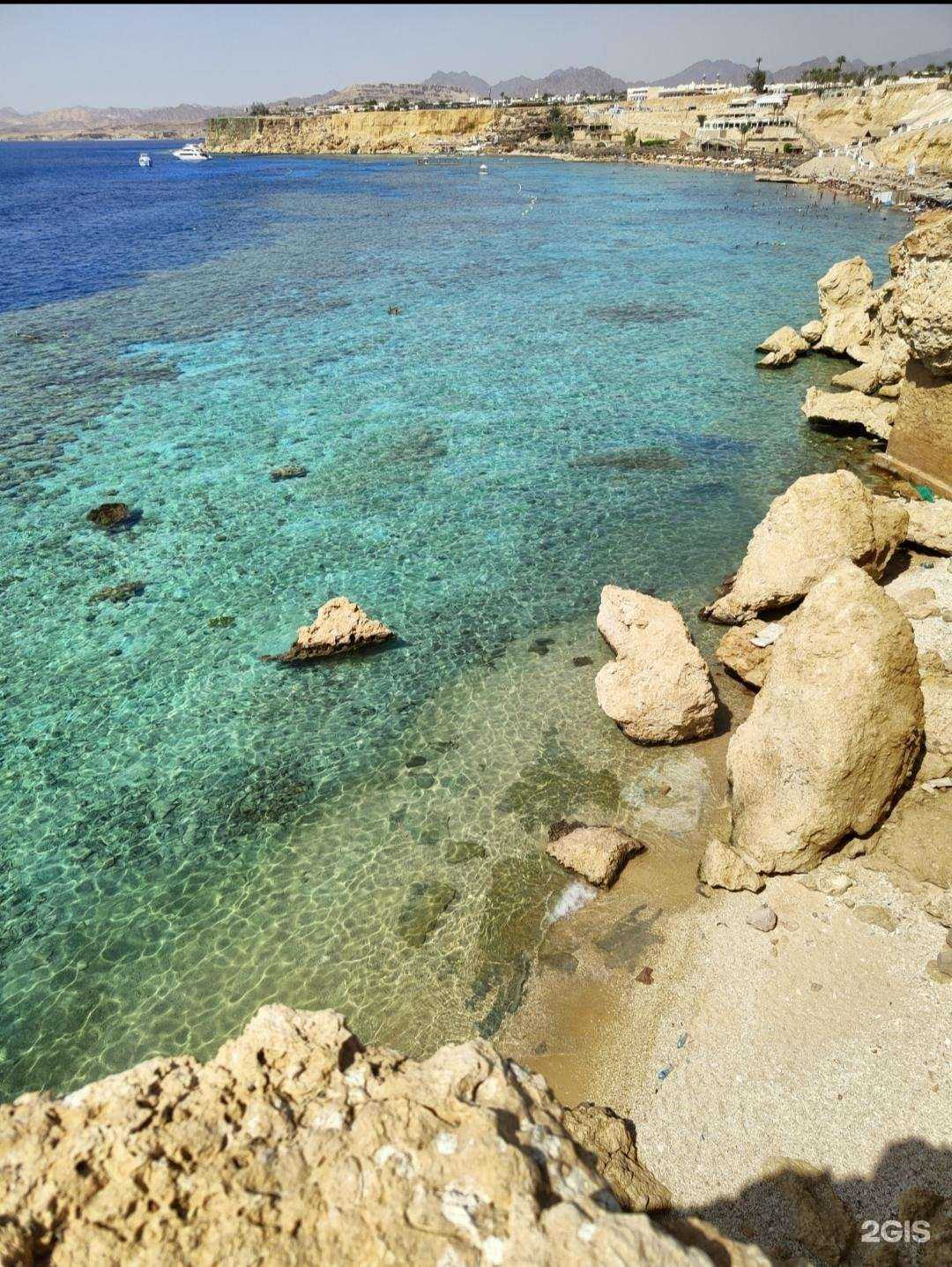 Отзывы на компанию ProLetto в Краснодаре c фото