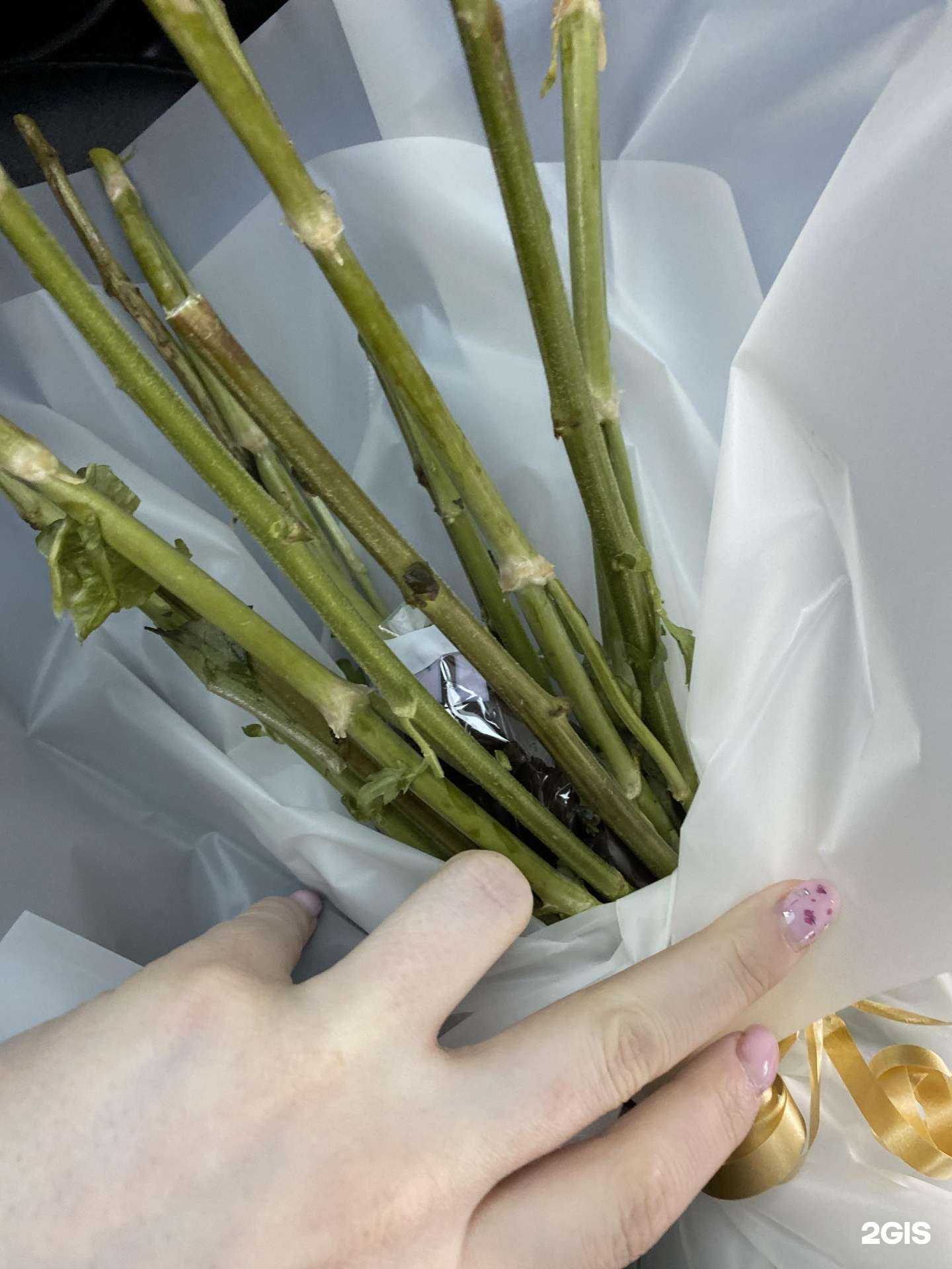 Отзывы на компанию Романтик в г. Нефтеюганск c фото