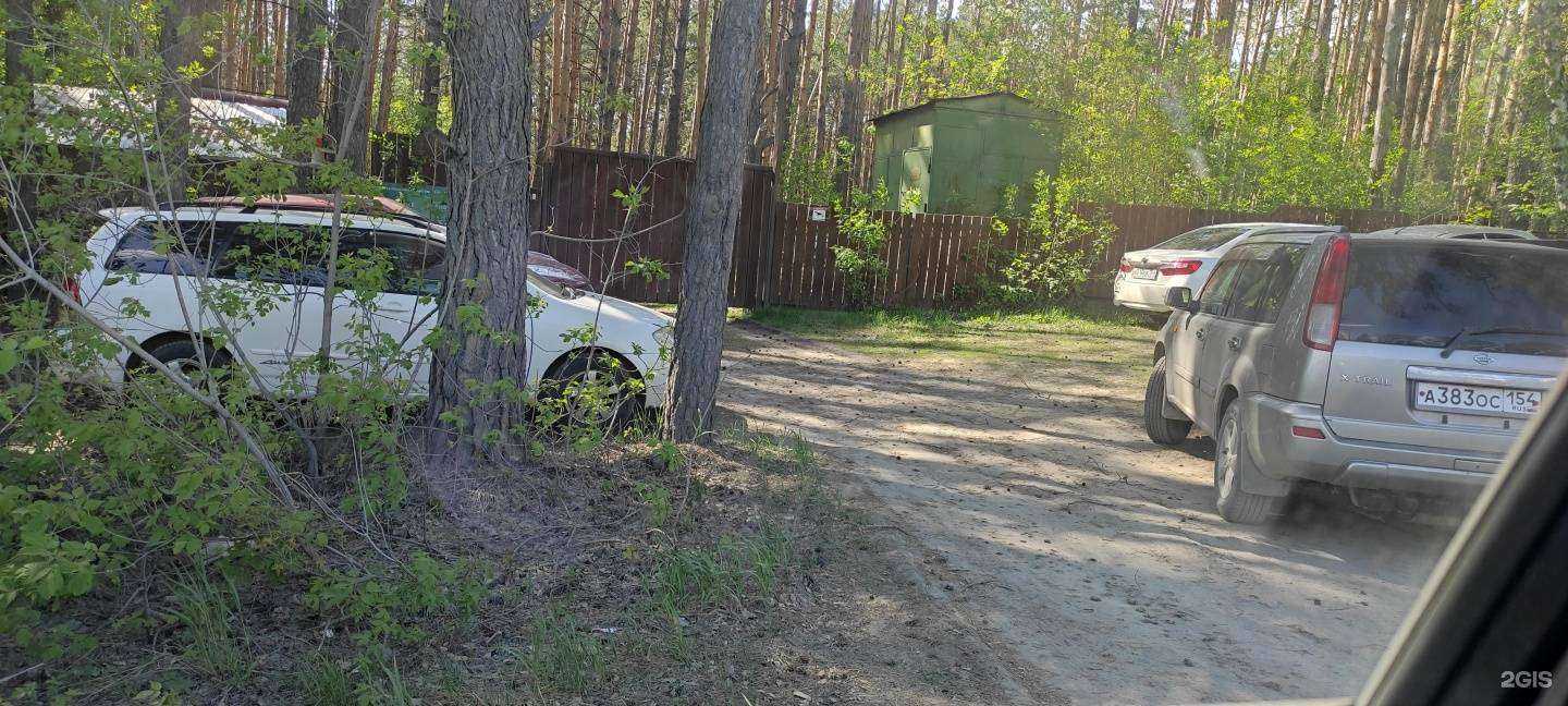 Отзывы на компанию Лесной в Новосибирске c фото - фотография 2 из 2