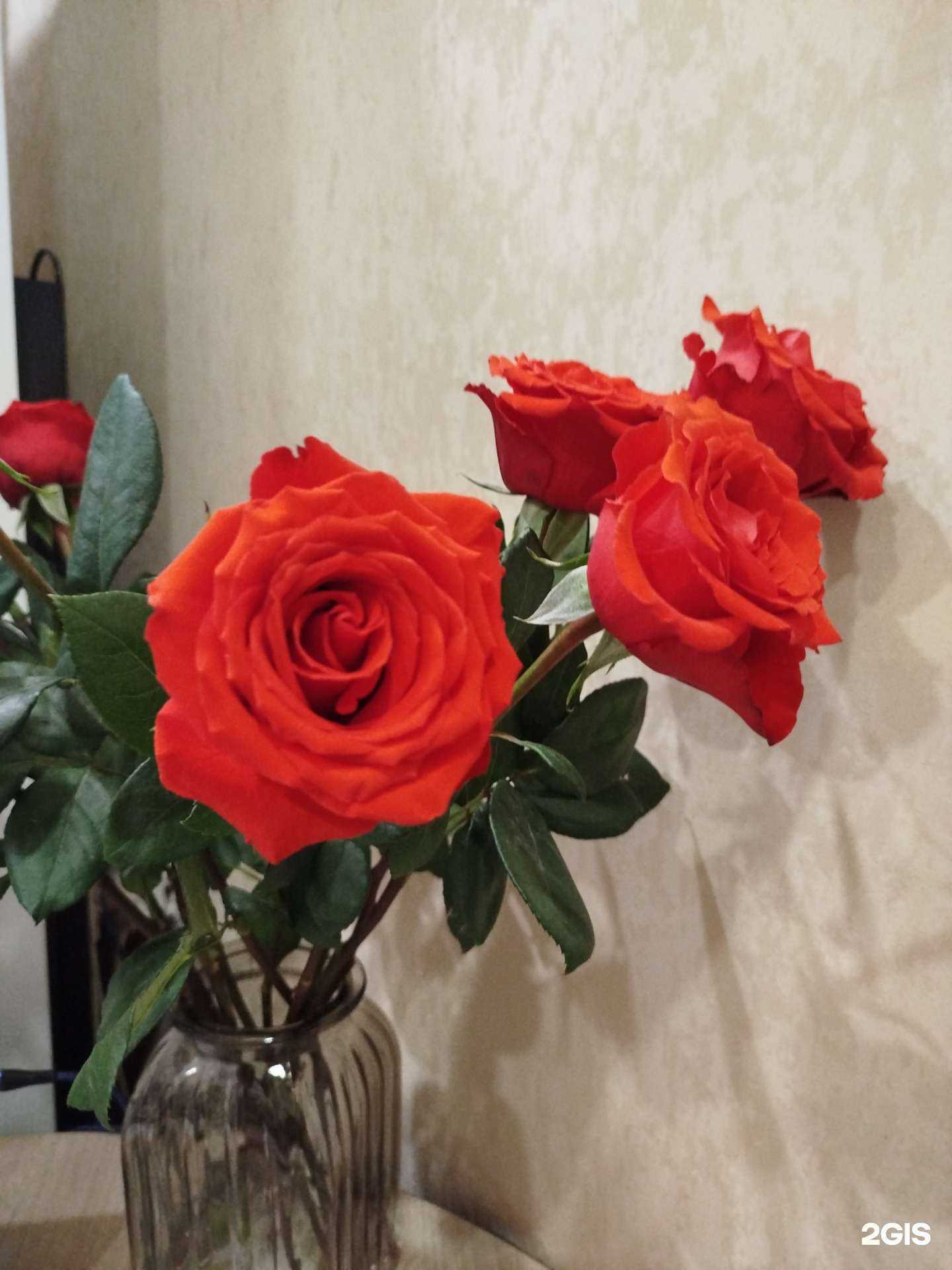 Отзывы на компанию Aiva flowers в Иркутске c фото - фотография 2 из 2