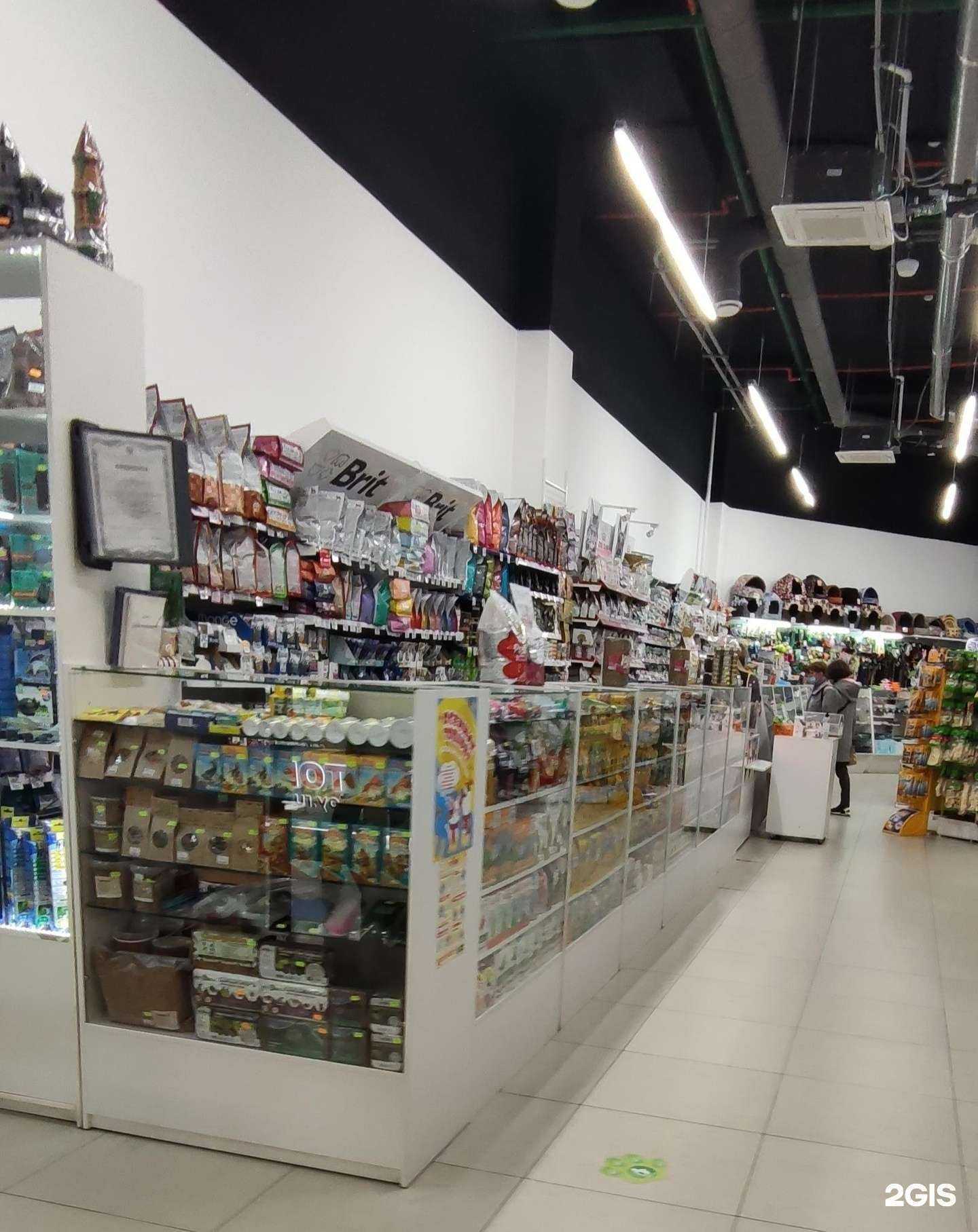 Отзывы на компанию Чемпион в г. Архангельск c фото