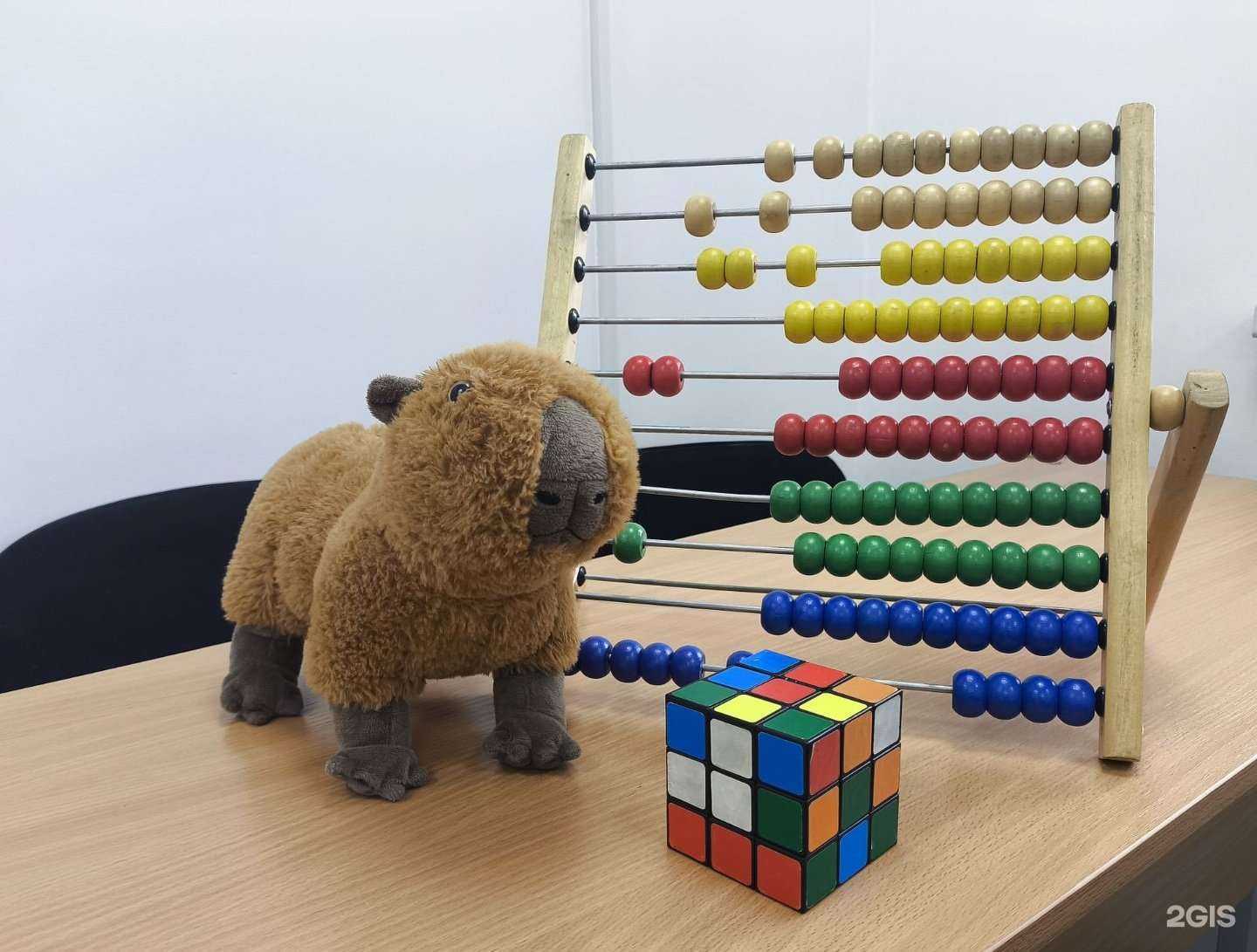 Отзывы на компанию Капибара в Челябинске c фото