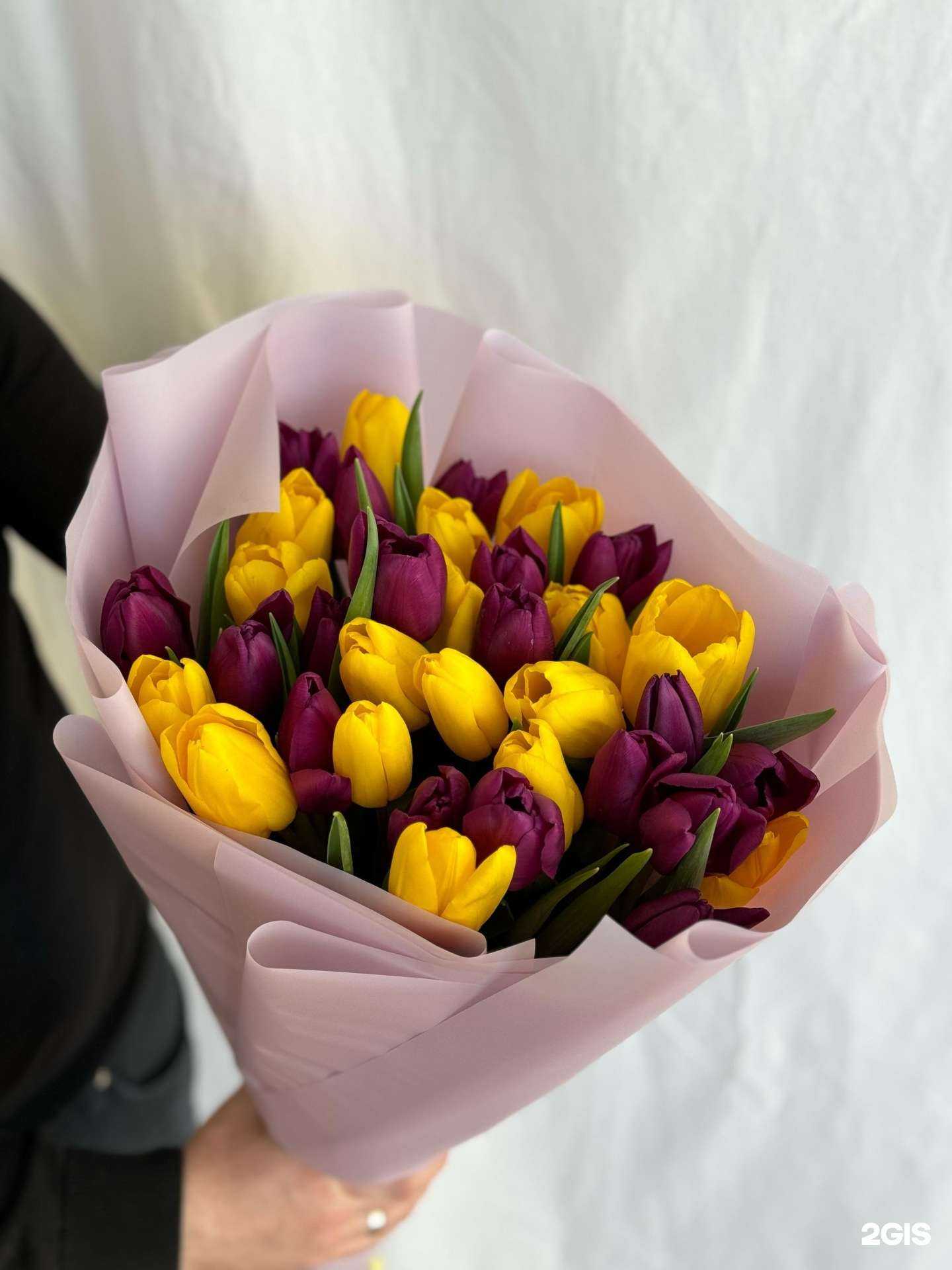 Отзывы на компанию Каталина в Саранске c фото