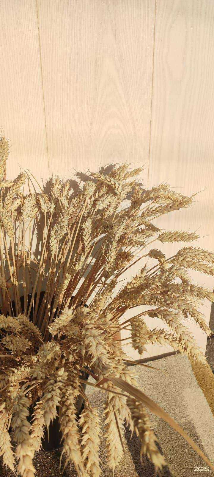 Отзывы на компанию 2r.design в г. Калининград c фото