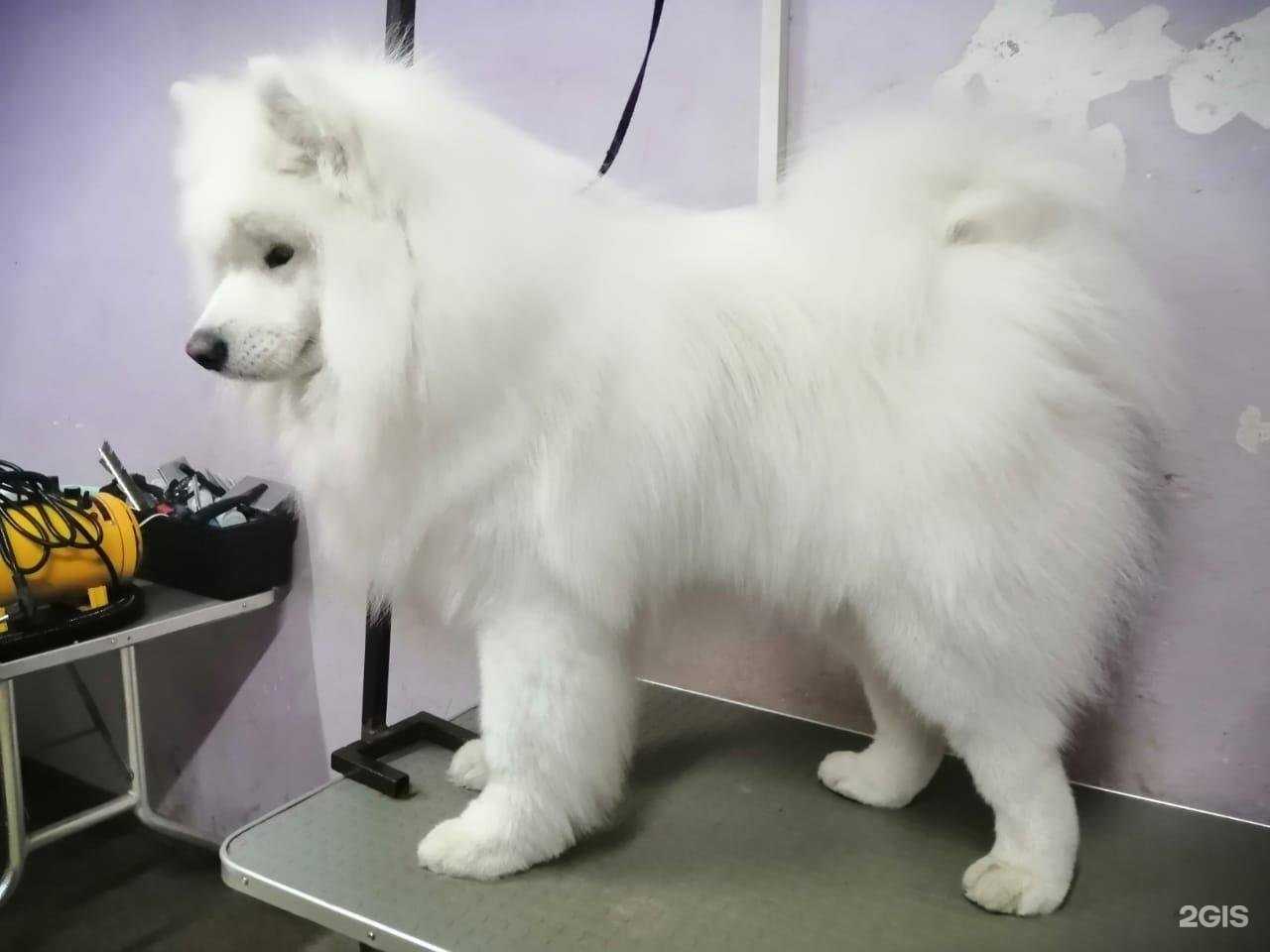 Отзывы на компанию Студия aрт@ в Челябинске c фото