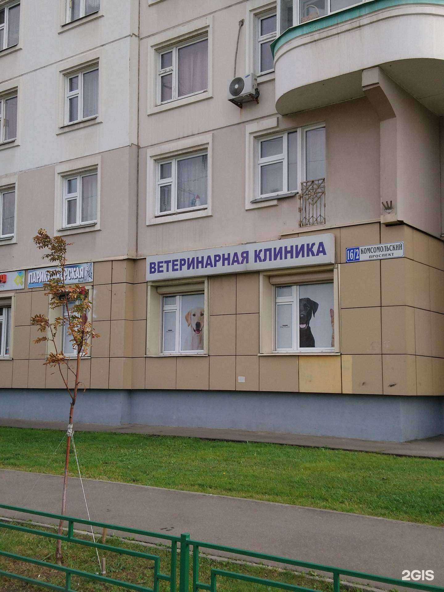 Отзывы на компанию Амикус вет в Люберцах c фото