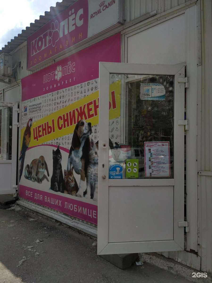 Отзывы на компанию Котопёс в г. Саратов c фото