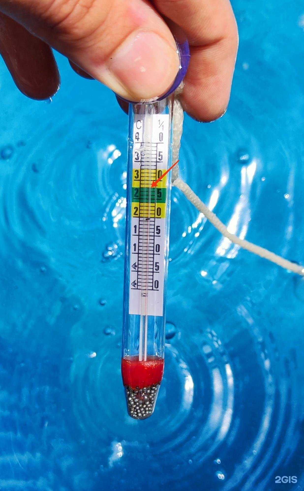 Отзывы на компанию Каравелла в Сочи c фото