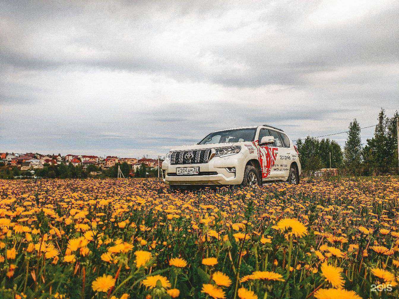 Отзывы на компанию Тойота центр Вологда в Вологде c фото