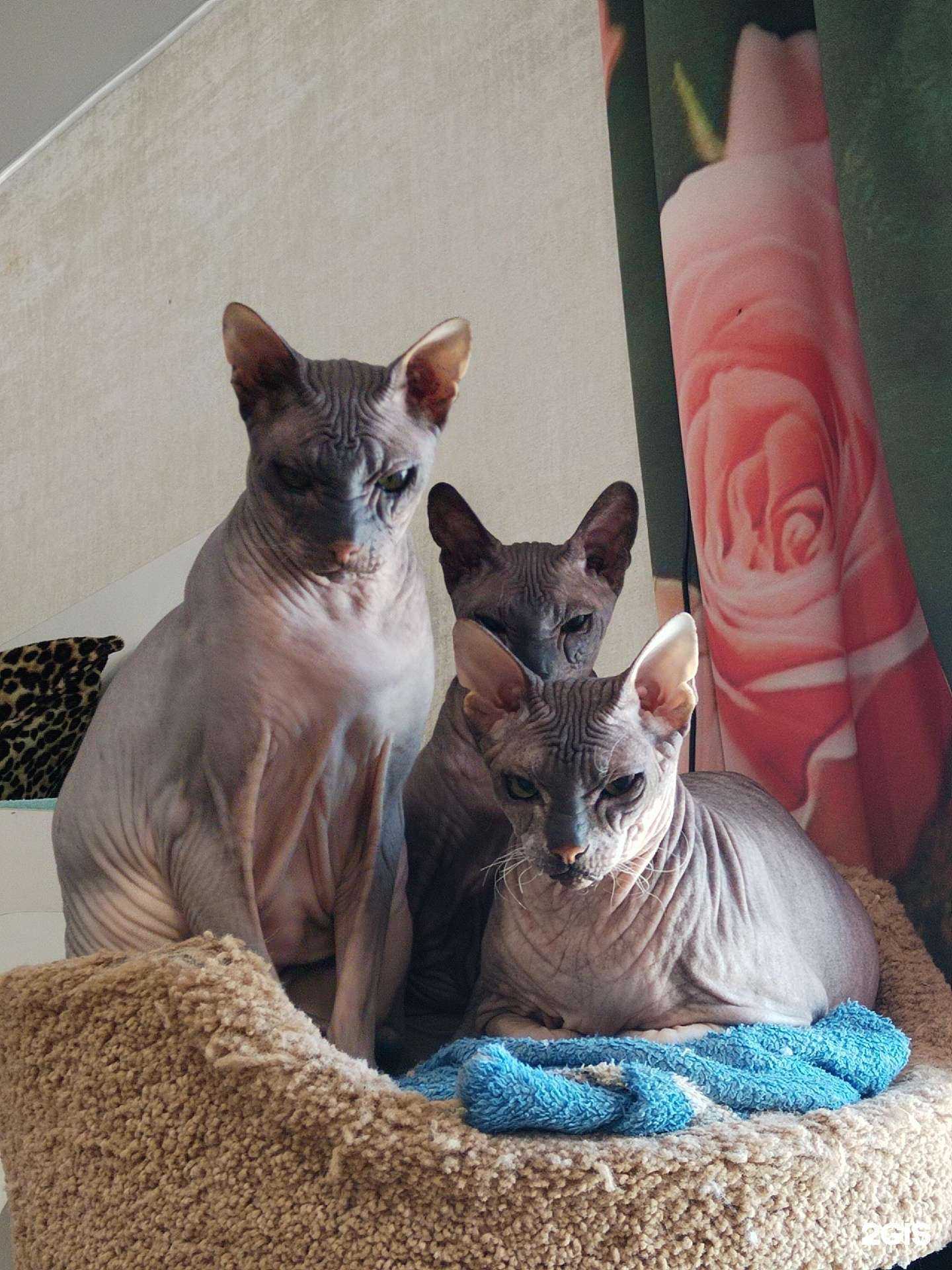 Отзывы на компанию Живой уголок в г. Елизово c фото