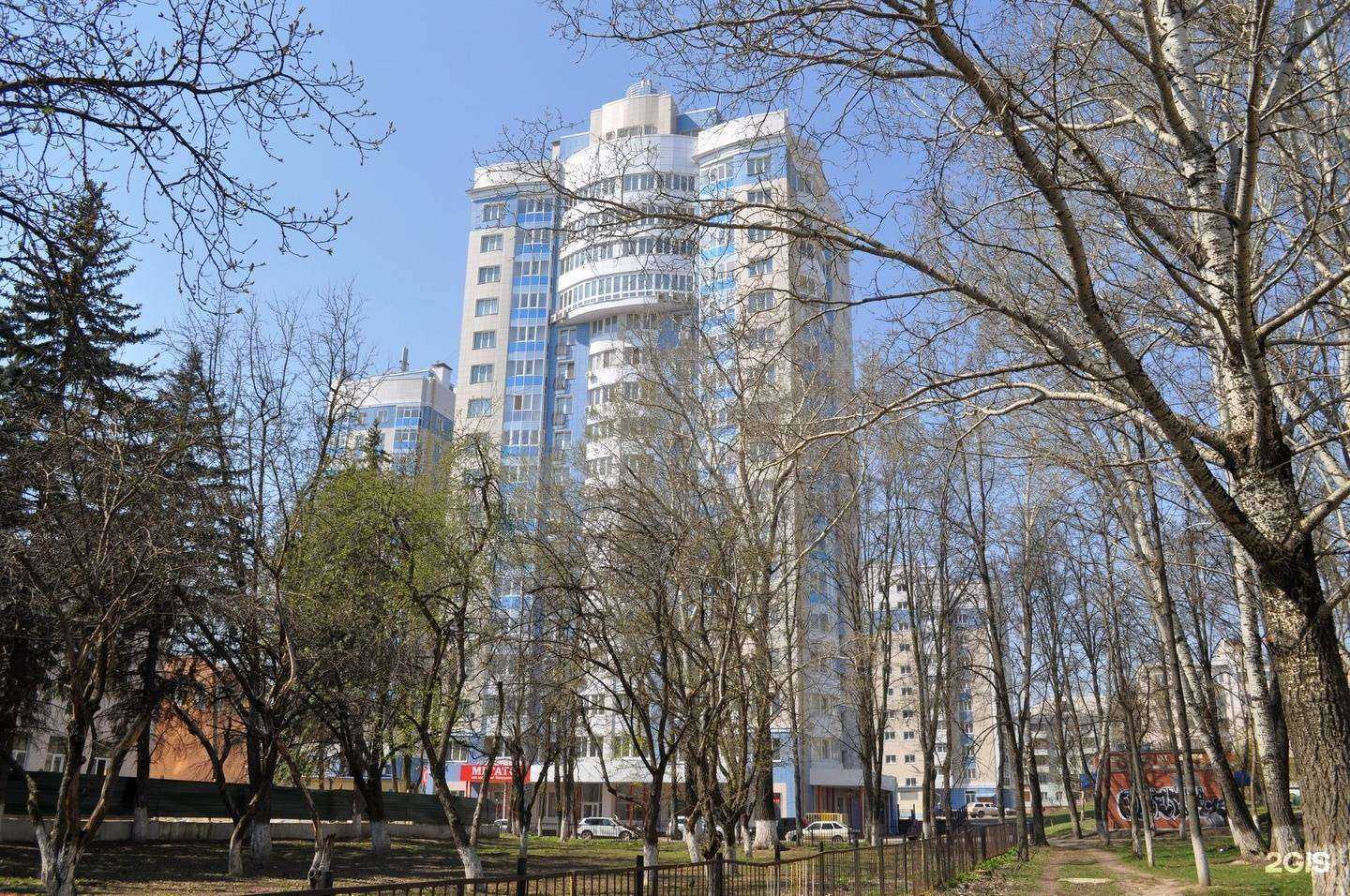 Отзывы на компанию Шагай в Орле c фото - фотография 2 из 2