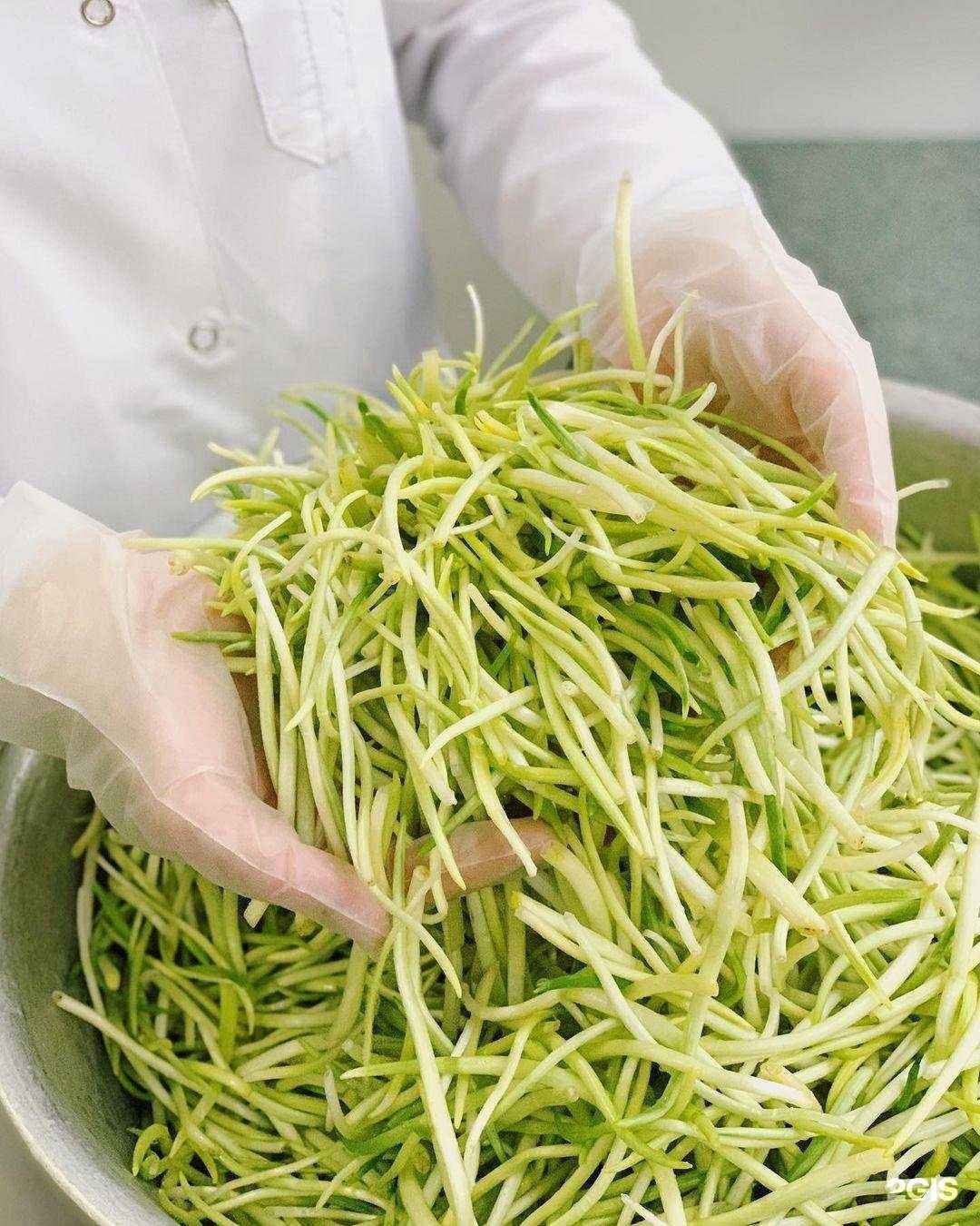 Отзывы на компанию Диканиш в Грозном c фото