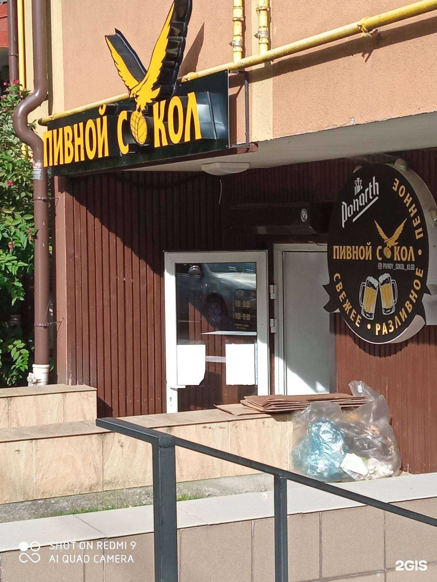 Отзывы на компанию Пивной сокол  в Калининграде c фото