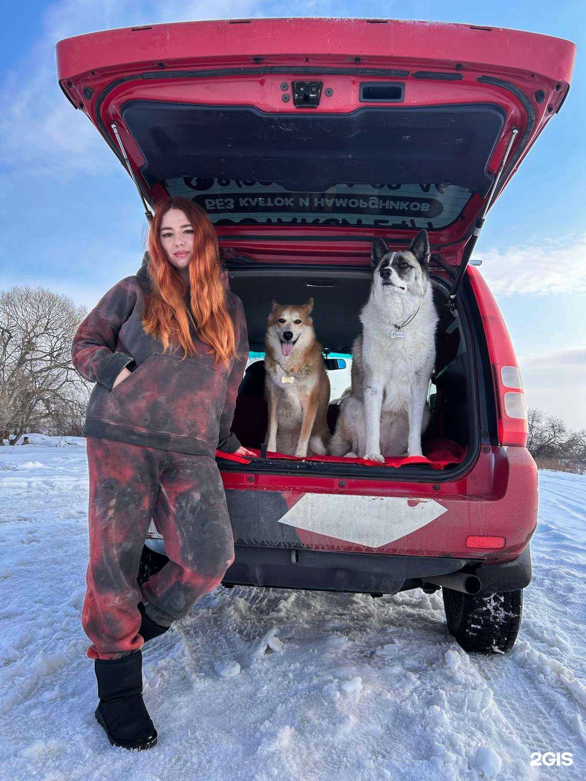 Отзывы на компанию Зоотакси в Хабаровске c фото