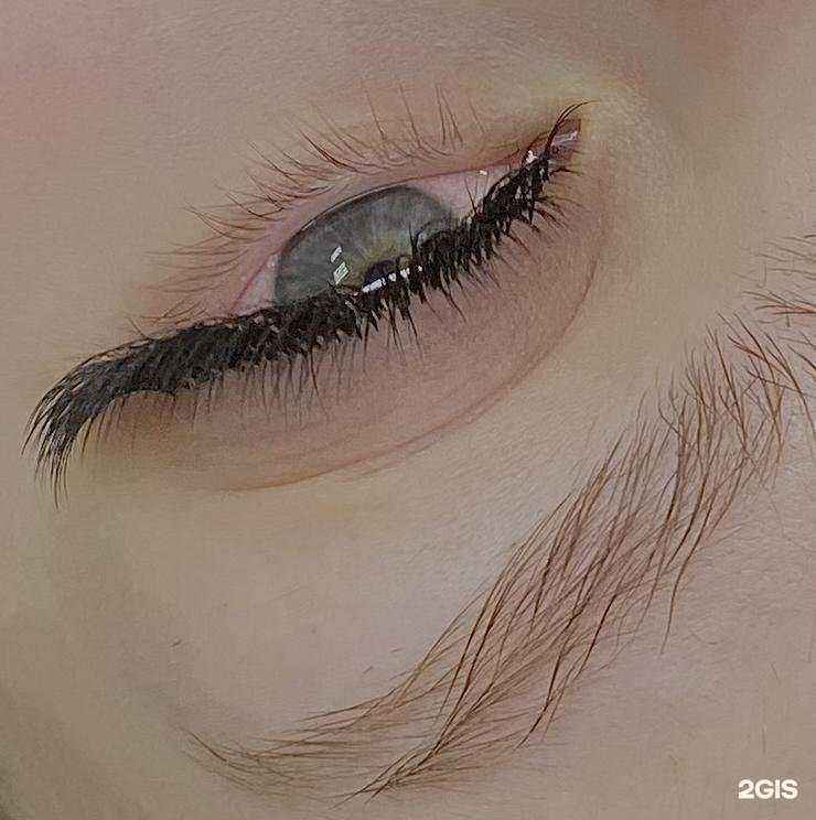 Отзывы на компанию Tati Lash в г. Нижневартовск c фото