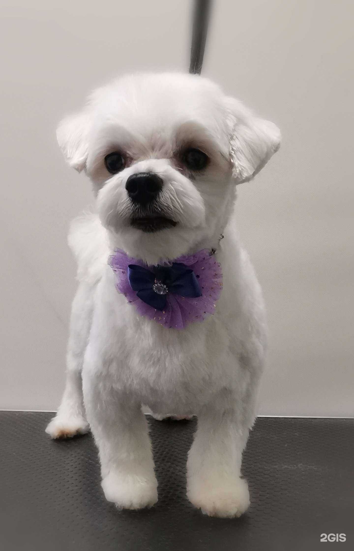 Отзывы на компанию Симфония в г. Челябинск c фото