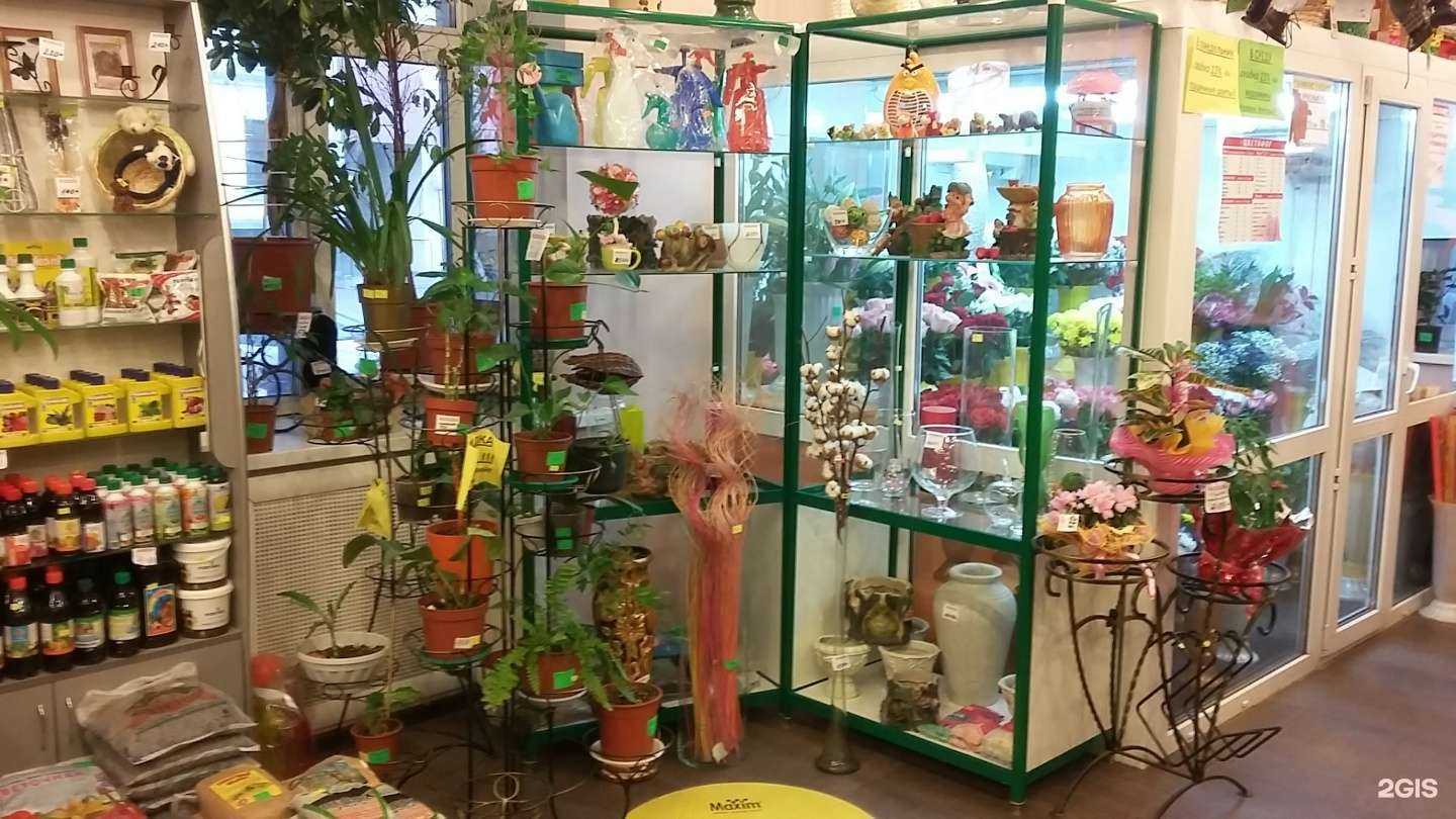 Отзывы на компанию Цветофор в г. Сыктывкар c фото