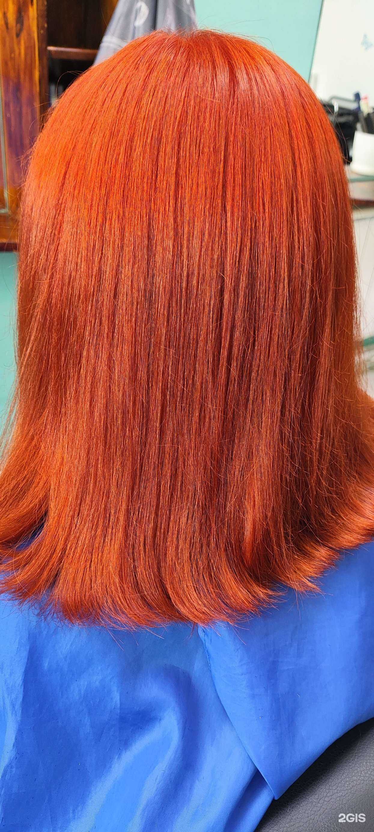 Отзывы на компанию Family в Чите c фото