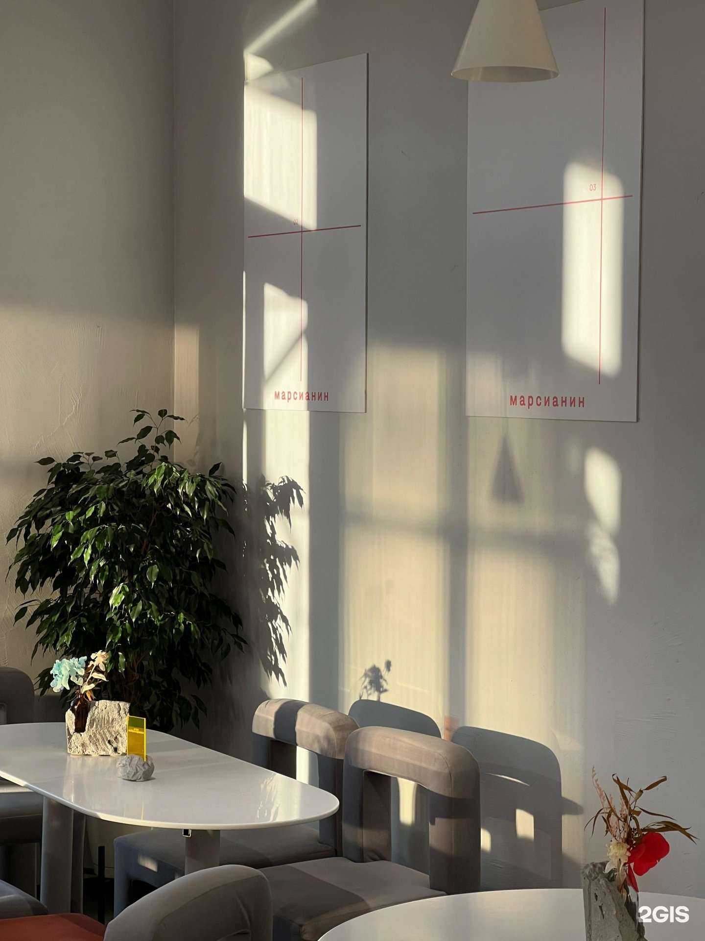 Отзывы на компанию Марсианин в г. Калининград c фото