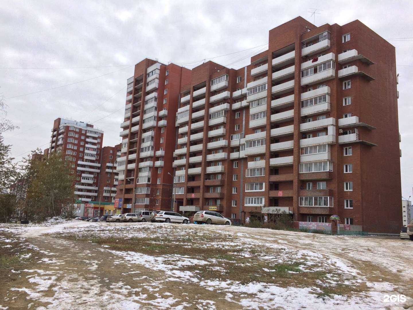 Отзывы на компанию Собачье дело в Иркутске c фото - фотография 2 из 2