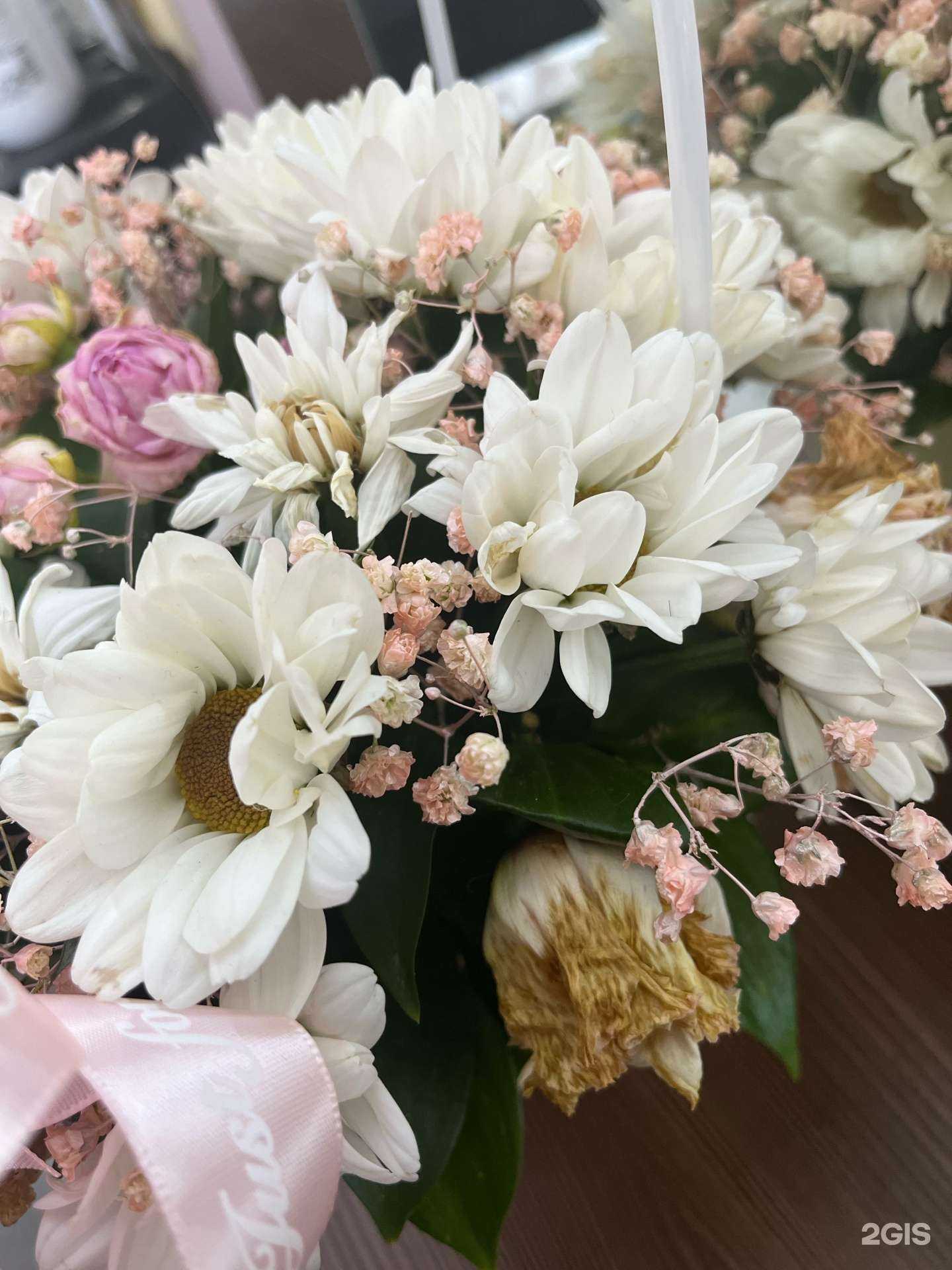 Отзывы на компанию Орхидея 2 в Курганинске c фото