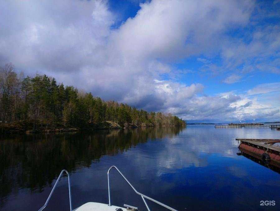 Отзывы на компанию Моя рыбка 63 в г. Самара c фото