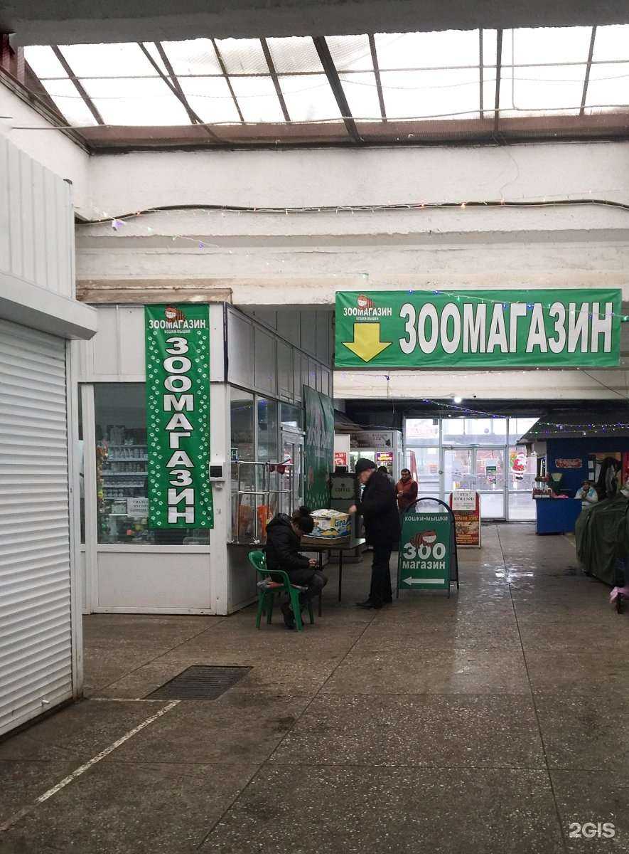 Отзывы на компанию Кошки_Мышки в г. Ставрополь c фото