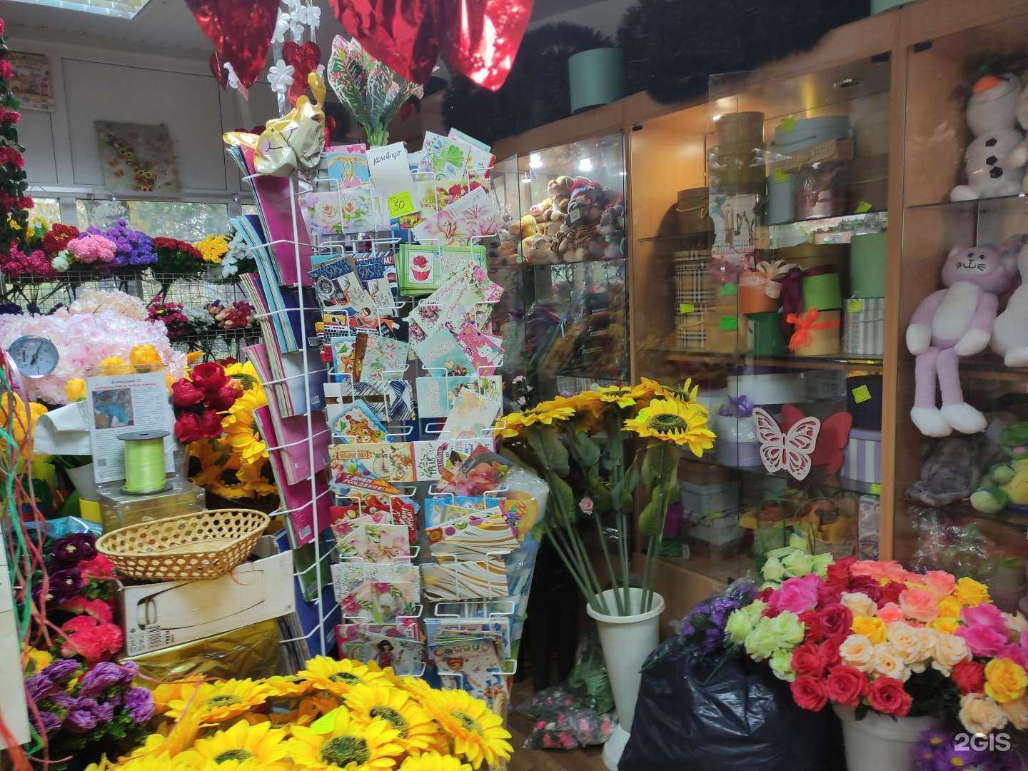 Отзывы на компанию Ромашка в Солнечногорске c фото