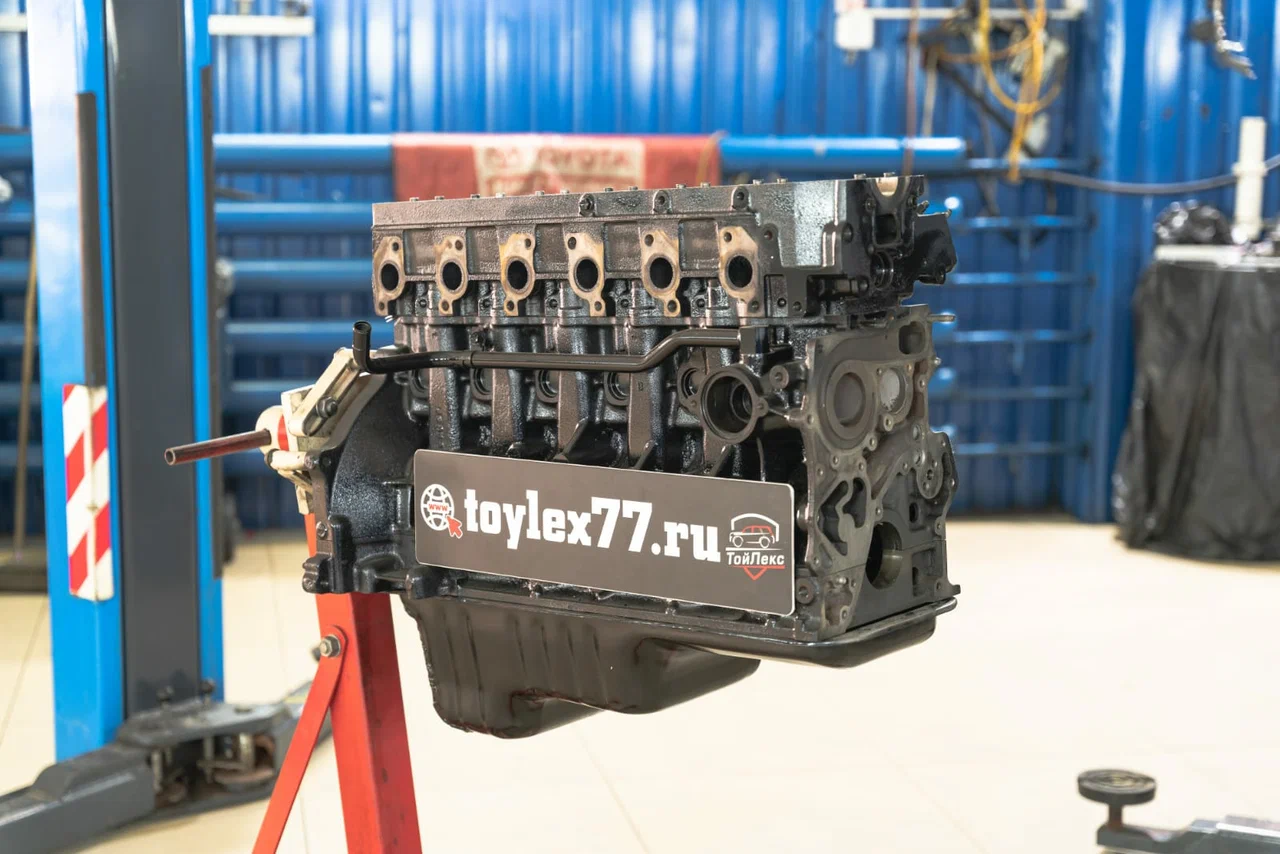 Отзывы на компанию ТойЛекс в Москве c фото