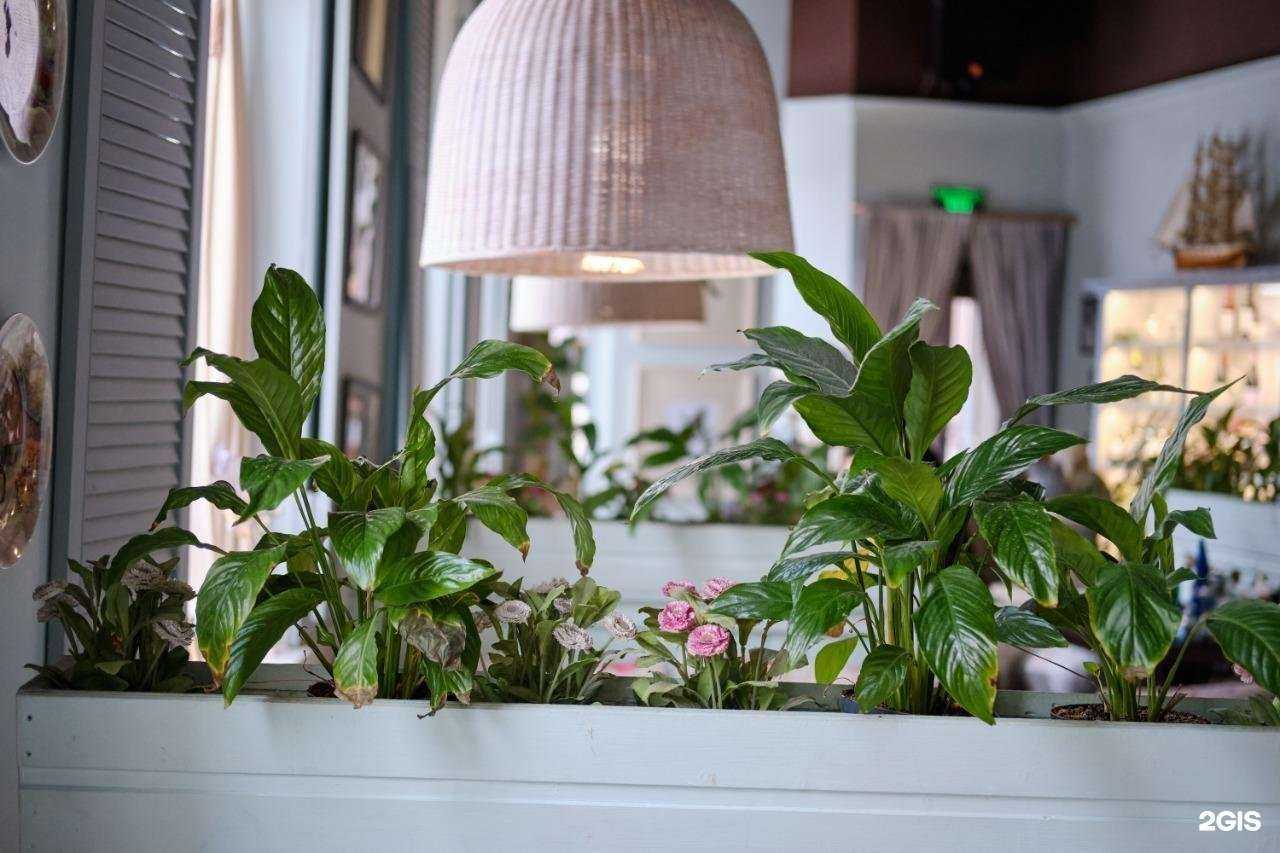 Отзывы на компанию MATHILDE в Казани c фото