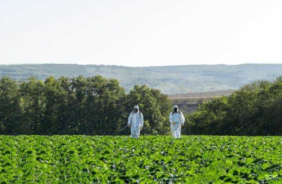 Отзывы на компанию Санитарно-эпидемиологическая служба в г. Красноярск c фото