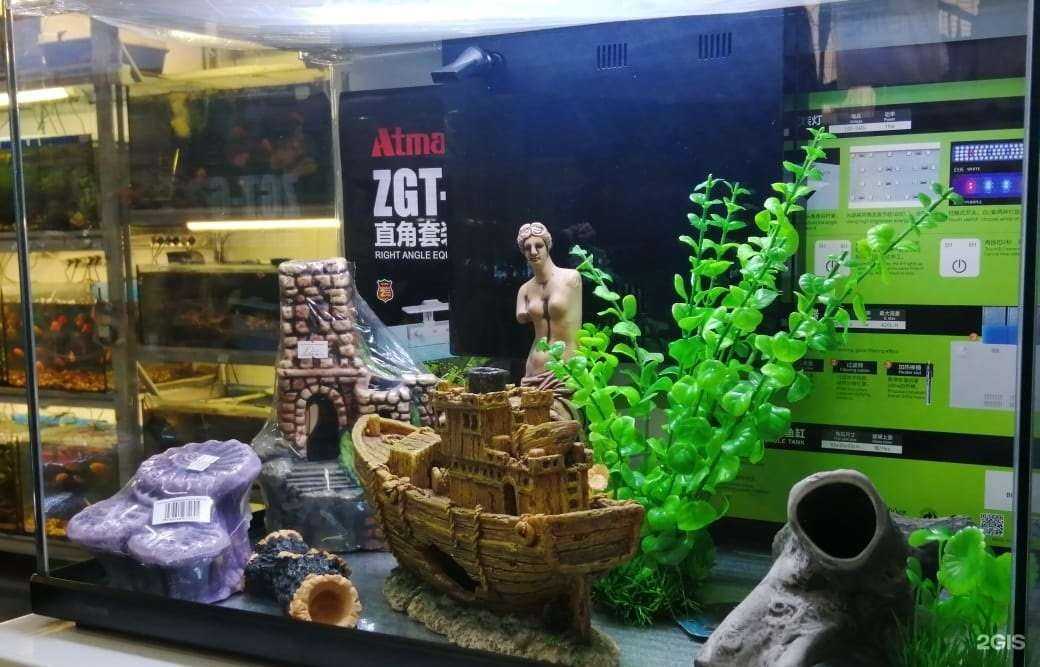 Отзывы на компанию ЗооМаг в Тюмени c фото