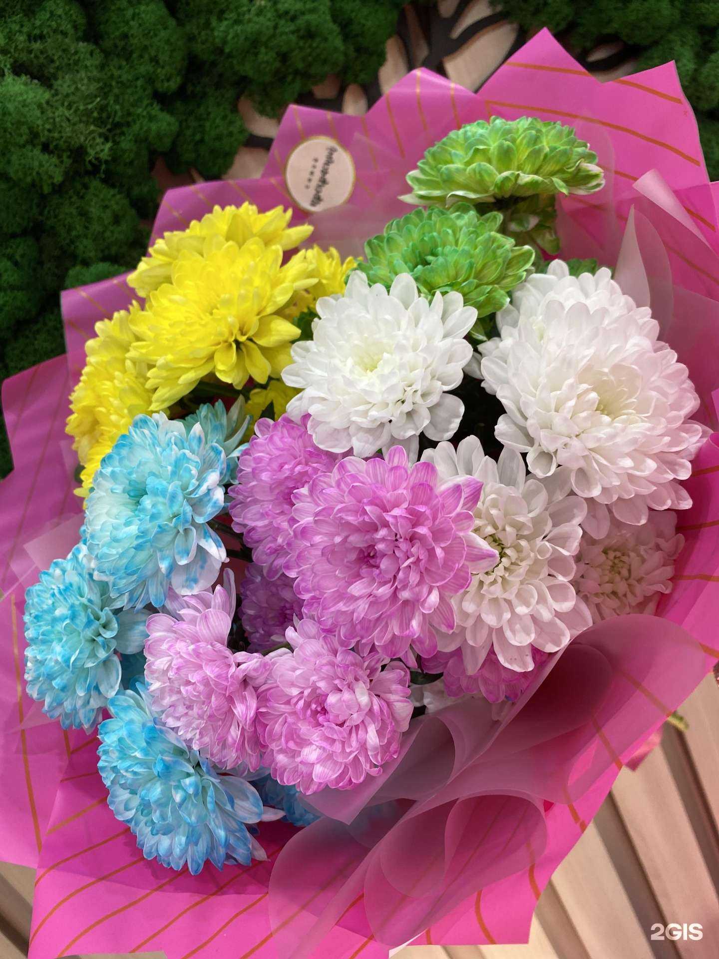 Отзывы на компанию Сакура в Лениногорске c фото