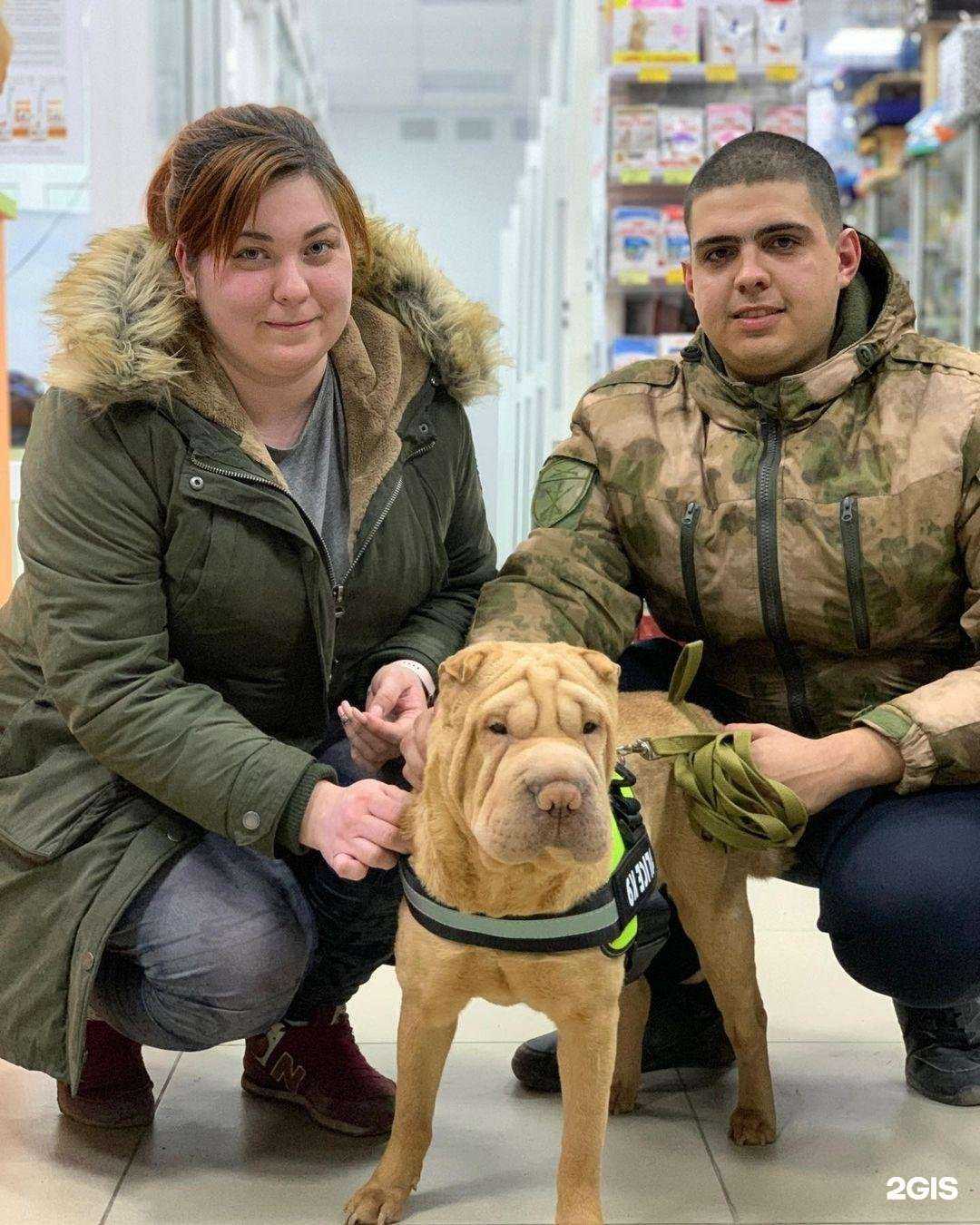 Отзывы на компанию Ветеринарный Центр №1 в г. Батайск c фото